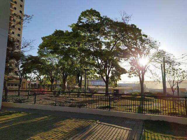 #1730 - Apartamento para Venda em Barueri - SP - 3