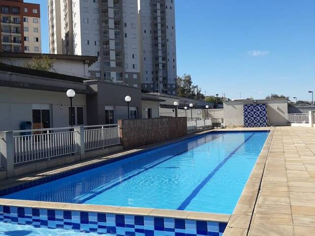 Venda em Vila Santa Terezinha  - Carapicuíba