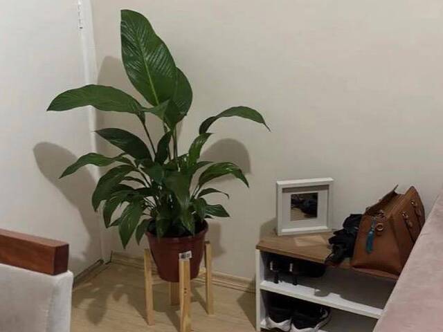 Apartamento para Venda em Cotia - 5
